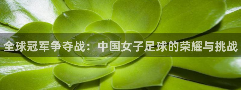世界杯亚洲区预选赛赛程:全球冠军争夺战:中国女子足球的荣耀与挑战
