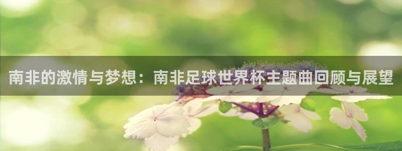 世界杯时间:南非的激情与梦想:南非足球世界杯主题曲回顾与展望