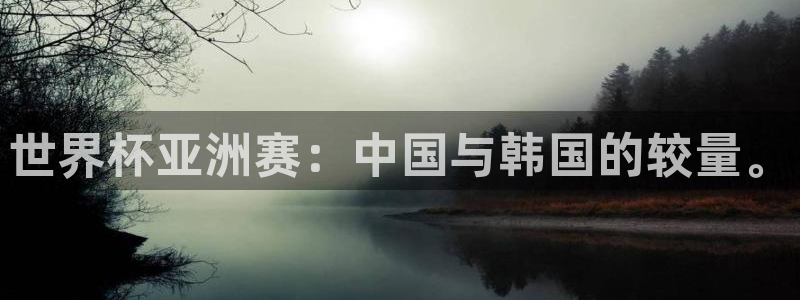 亚洲杯比赛直播:世界杯亚洲赛:中国与韩国的较量。