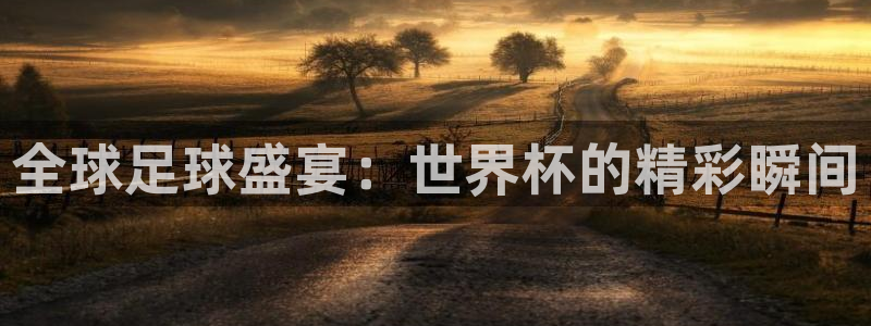 世界杯预选赛亚洲区积分榜:全球足球盛宴:世界杯的精彩瞬间