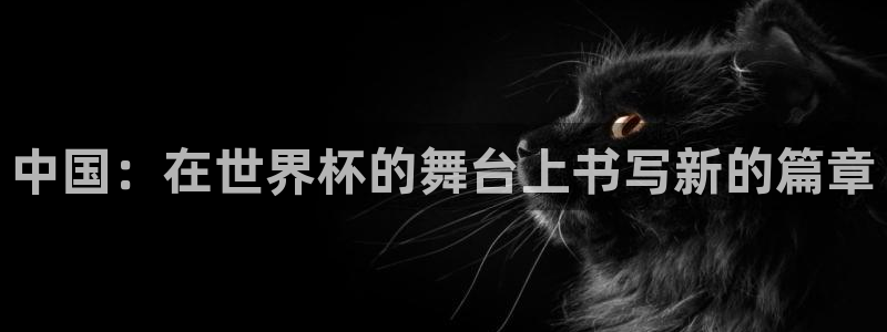 2026世界杯官网入口:中国:在世界杯的舞台上书写新的篇章