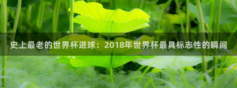 世界杯亚洲区预选赛积分榜:史上最老的世界杯进球:2018年世界杯最具标志性的瞬间