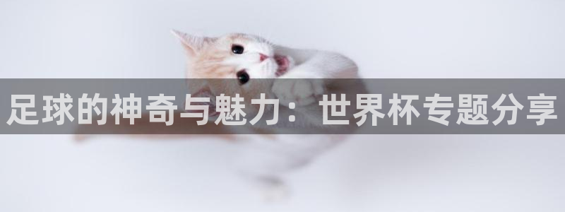 2026世界杯赛程:足球的神奇与魅力:世界杯专题分享