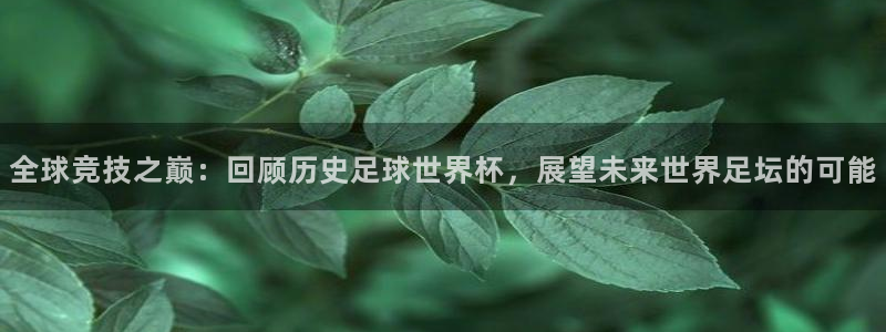 世界杯比赛:全球竞技之巅:回顾历史足球世界杯,展望未来世界足坛的可能